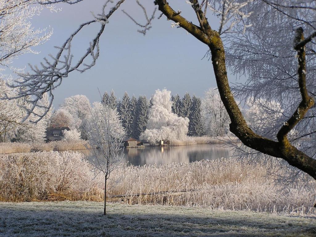 Hotel Landgasthof Altwirt Seeham Esterno foto